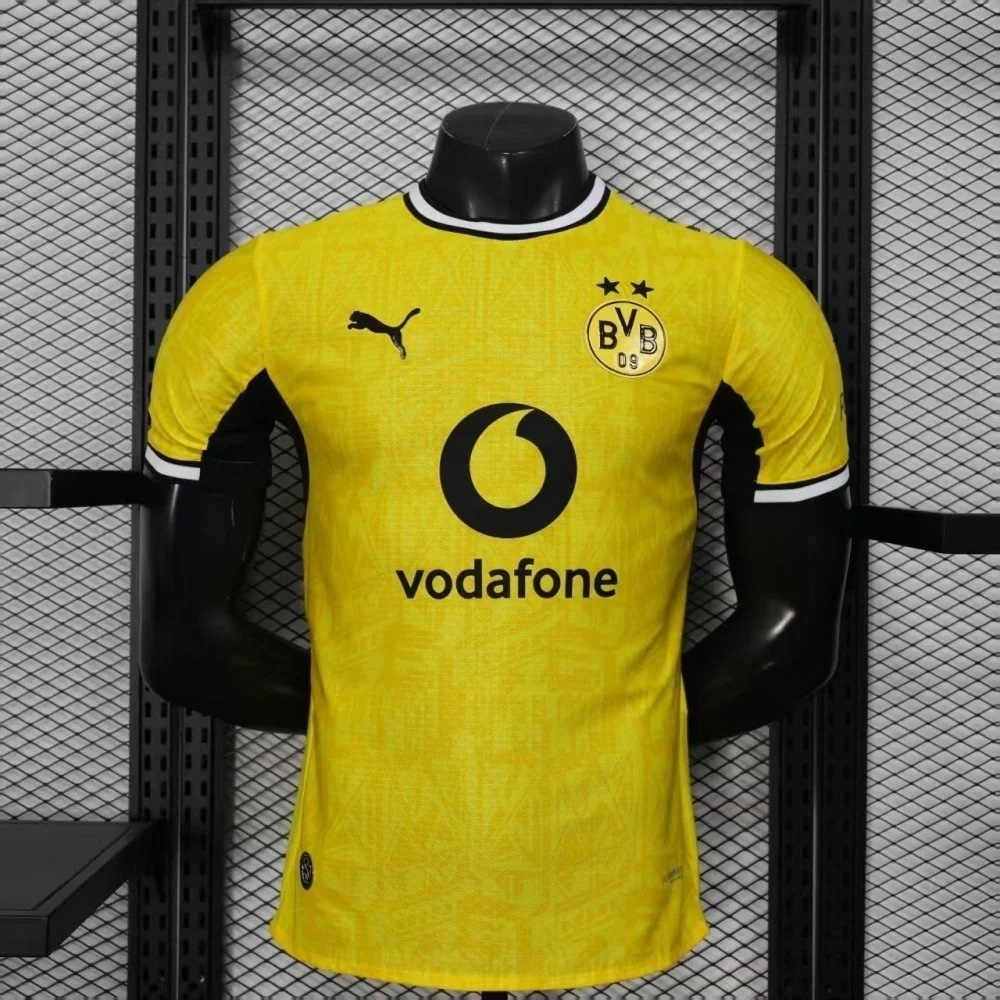 BVB PLAYER VERSION